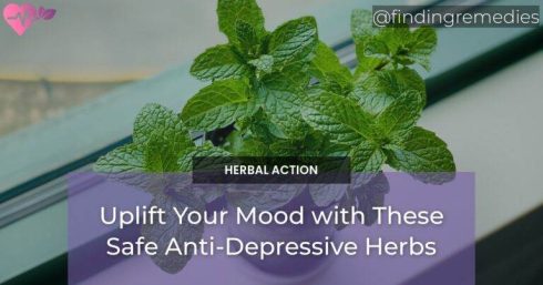 Uplift Your Mood with These Safe Anti-Depressive Herbs