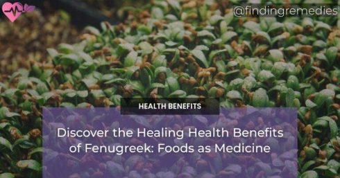 Discover the Healing Health Benefits of Fenugreek: Foods as Medicine