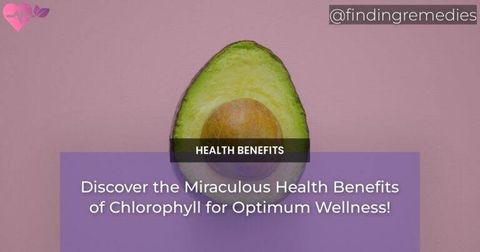 Discover the Miraculous Health Benefits of Chlorophyll for Optimum Wellness!