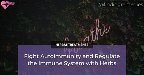 Fight Autoimmunity and Regulate the Immune System with Herbs