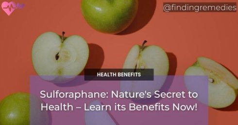 Sulforaphane: Nature's Secret to Health – Learn its Benefits Now!