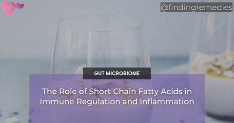 The Role of Short Chain Fatty Acids in Immune Regulation and Inflammation