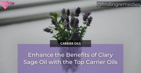 Enhance the Benefits of Clary Sage Oil with the Top Carrier Oils