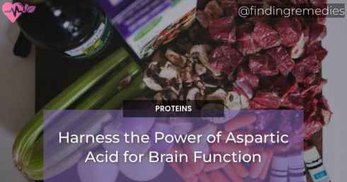 Harness the Power of Aspartic Acid for Brain Function