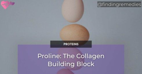 Proline: The Collagen Building Block
