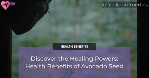 Discover the Healing Powers: Health Benefits of Avocado Seed