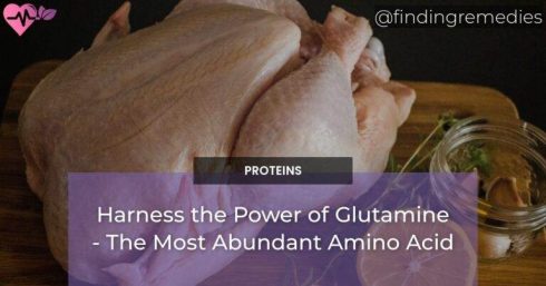 Harness the Power of Glutamine - The Most Abundant Amino Acid