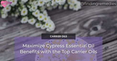 Maximize Cypress Essential Oil Benefits with the Top Carrier Oils