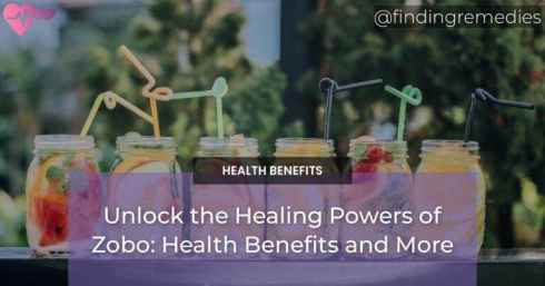 Unlock the Healing Powers of Zobo: Health Benefits and More