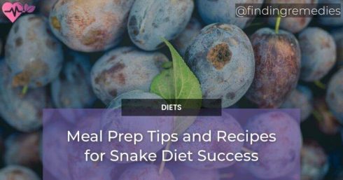 Meal Prep Tips and Recipes for Snake Diet Success