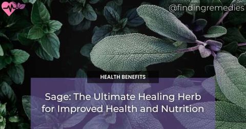 Sage: The Ultimate Healing Herb for Improved Health and Nutrition