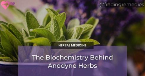 The Biochemistry Behind Anodyne Herbs