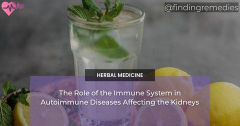 The Role of the Immune System in Autoimmune Diseases Affecting the Kidneys