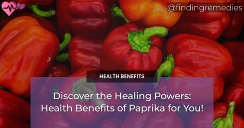 Discover the Healing Powers: Health Benefits of Paprika for You!
