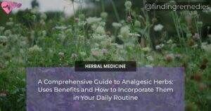 Alternative Medicine 8 A Comprehensive Guide to Analgesic Herbs: Uses Benefits and How to Incorporate Them in Your Daily Routine