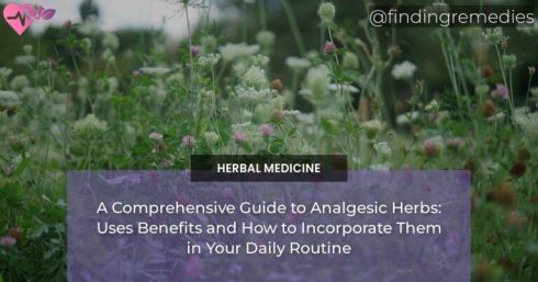 A Comprehensive Guide to Analgesic Herbs: Uses Benefits and How to Incorporate Them in Your Daily Routine