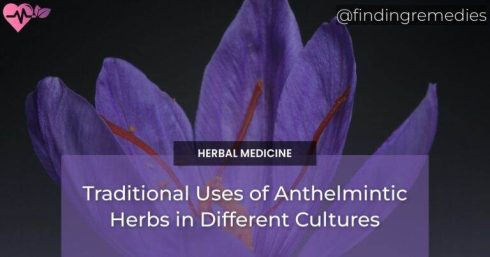 Traditional Uses of Anthelmintic Herbs in Different Cultures