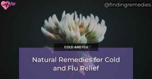 Natural Remedies for Cold and Flu Relief