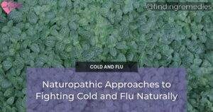 Naturopathic Approaches to Fighting Cold and Flu Naturally