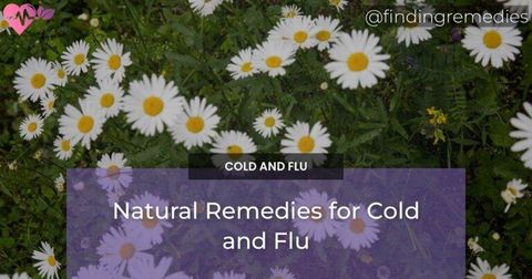Natural Remedies for Cold and Flu