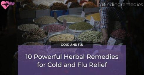 10 Powerful Herbal Remedies for Cold and Flu Relief